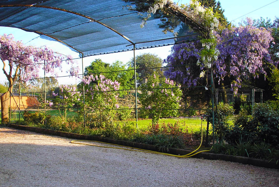 Bed Breakfast Rome Natura Appia